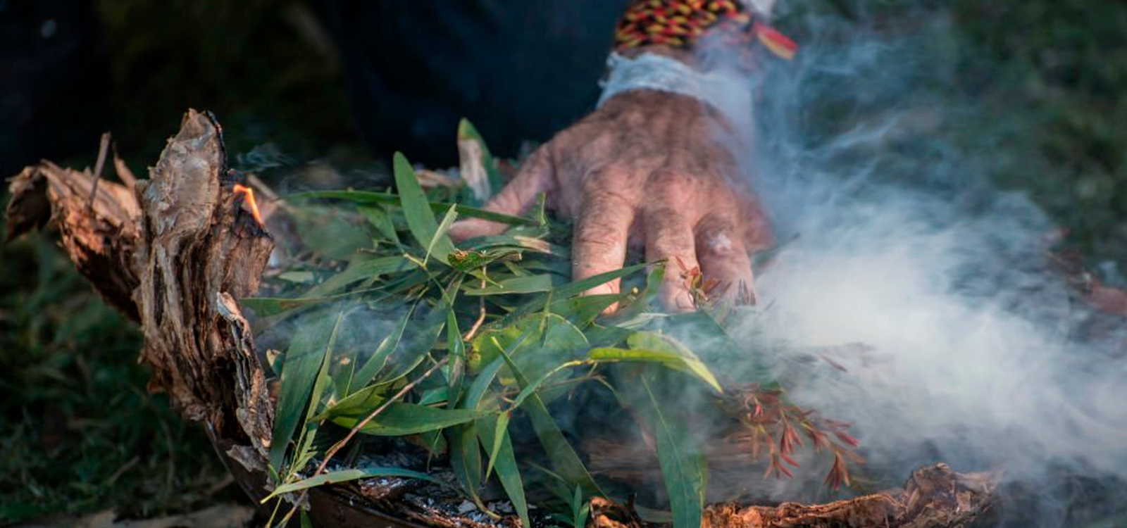 Brujeria, Amarres y Tarot en Ecuador